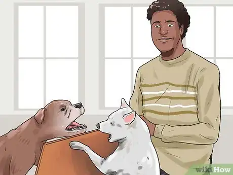 Imagen titulada Break Up a Dog Fight Step 4