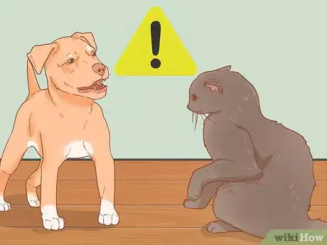 Imagen titulada Introduce a New Puppy to the Resident Cat Step 11