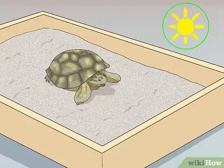 Imagen titulada Take Care of a Russian Tortoise Step 10