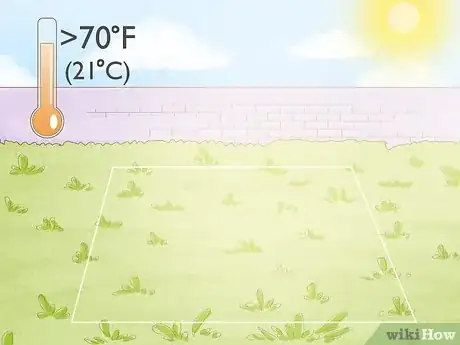 Imagen titulada Grow Melons Step 1