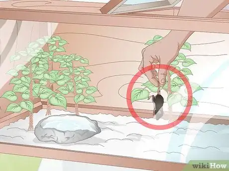 Imagen titulada Build a Snake Cage Step 12