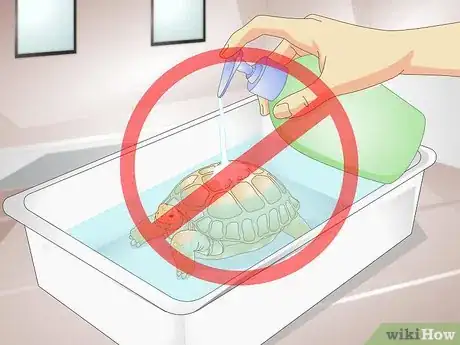 Imagen titulada Bathe a Tortoise Step 11