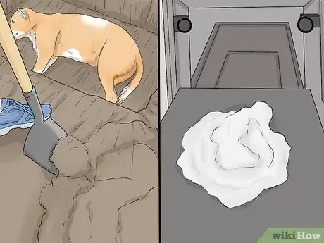 Imagen titulada Determine if Your Dog Has Passed Away Step 6