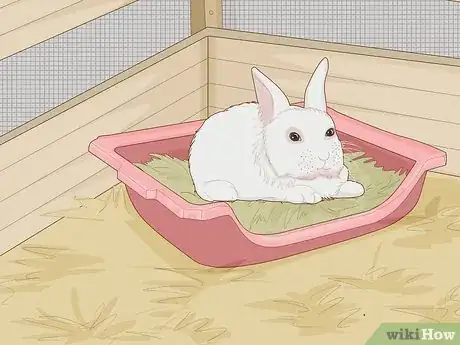 Imagen titulada Care for a New Pet Rabbit Step 4
