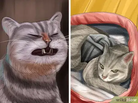 Imagen titulada Stop Your Cat from Drooling Step 3