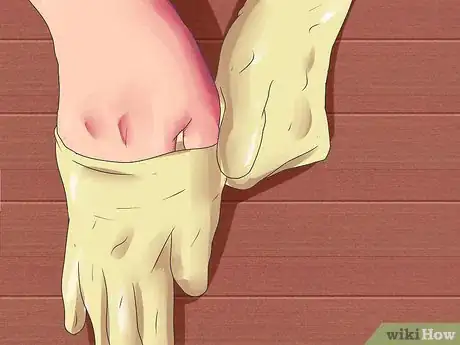 Imagen titulada Dissect a Frog Step 3