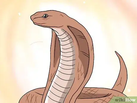 Imagen titulada Choose Your First Pet Snake Step 1Bullet4