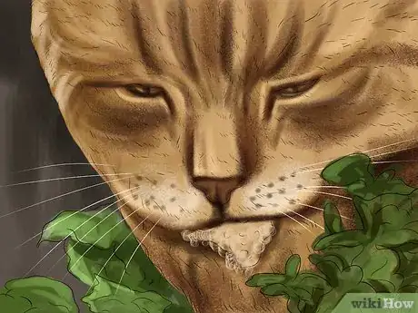 Imagen titulada Stop Your Cat from Drooling Step 1