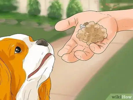 Imagen titulada Train Your Dog to Use a Dog Door Step 3