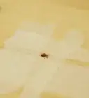 resanar los agujeros producidos por clavos
