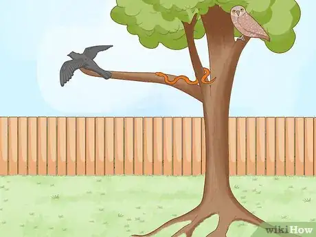 Imagen titulada Get Rid of Crows Step 12