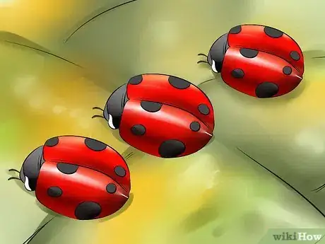 Imagen titulada Get Rid of Spider Mites Step 14