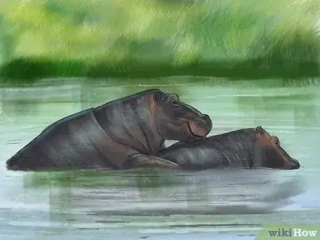 Imagen titulada Deal With a Hippo Encounter Step 9