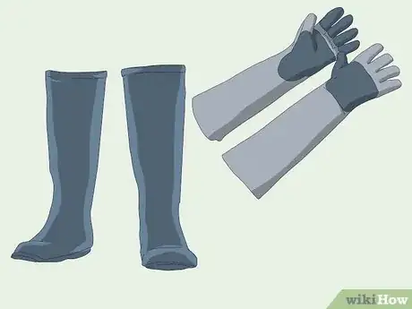 Imagen titulada Hold a Snake Step 7