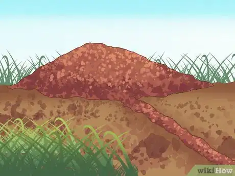 Imagen titulada Catch Moles Step 6