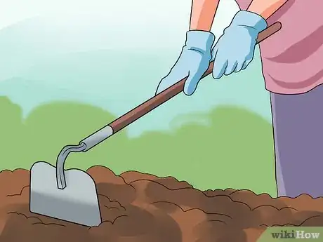 Imagen titulada Grow a Bean Plant Step 7