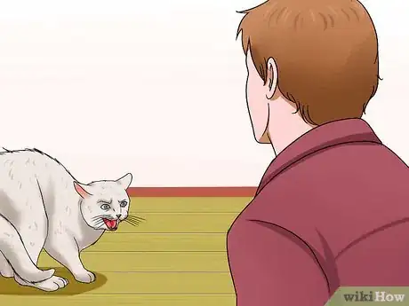 Imagen titulada Have Multiple Cats Step 9