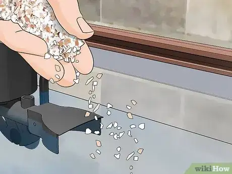 Imagen titulada Care for Mystery Snails Step 11