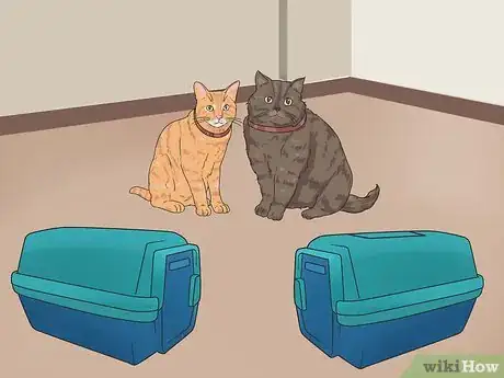 Imagen titulada Bring a Second Cat Into the Family and Not Make Your Old Cat Upset Step 5