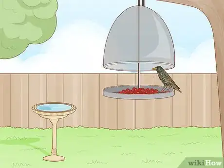 Imagen titulada Remove White Grubs from Lawns Step 1