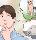 saber si tu perro sufre de tiña