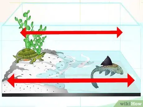 Imagen titulada Put a Sucker Fish in a Tank With a Turtle Step 10