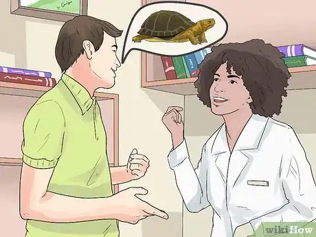 Imagen titulada Take Care of a Land Turtle Step 23
