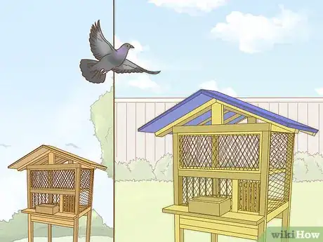 Imagen titulada Train a Homing Pigeon Step 11