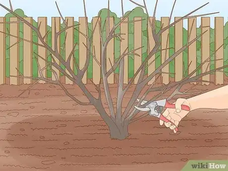 Imagen titulada Remove Bushes Step 17