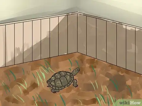 Imagen titulada Care for Your Box Turtle Step 4