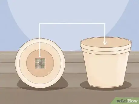 Imagen titulada Plant Potatoes in Pots Step 6