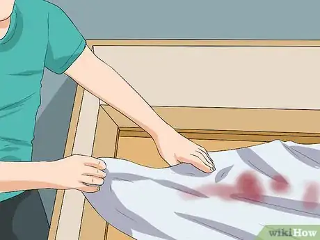 Imagen titulada Clean a Mother Dog After She Gives Birth Step 3