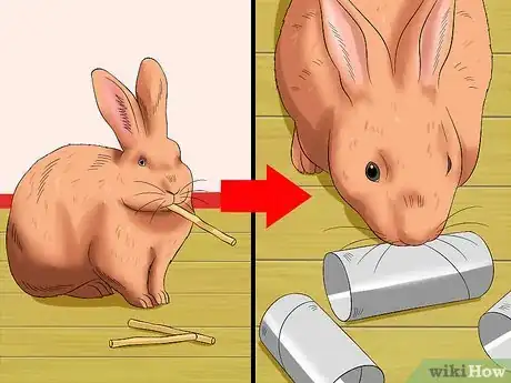 Imagen titulada Train a Rabbit to Stop Chewing Carpet Step 9