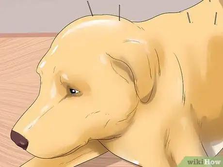 Imagen titulada Treat Neck Pain in Dogs Step 17