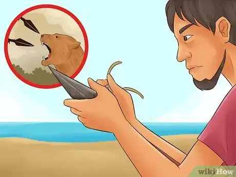 Imagen titulada Survive on a Deserted Island With Nothing Step 14