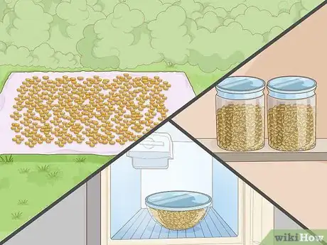 Imagen titulada Grow Soybeans Step 14
