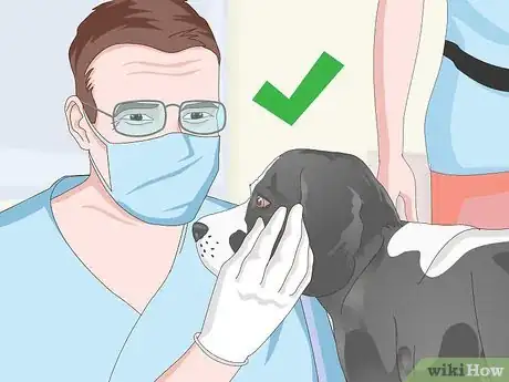 Imagen titulada Measure a Dog's Temperature Step 20