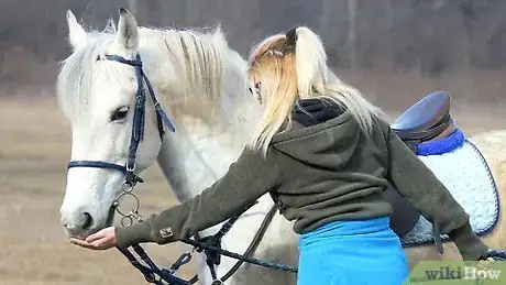 Imagen titulada Get Your Horse to Trust You Step 1