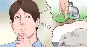 saber si tu perro sufre de tiña
