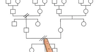 hacer un genograma
