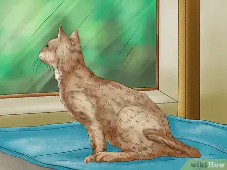 Imagen titulada Encourage a Cat to Use Its Bed Step 3