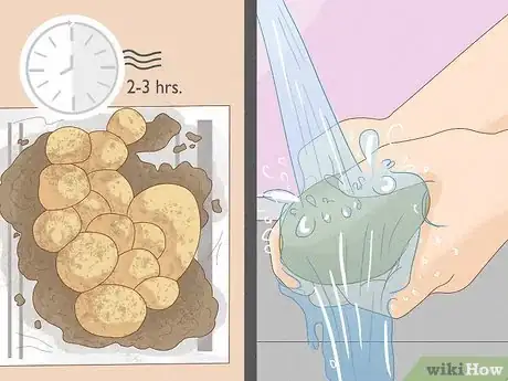 Imagen titulada Grow Potatoes Indoors Step 17