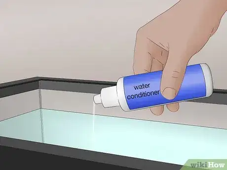 Imagen titulada Start a Saltwater Aquarium Step 20