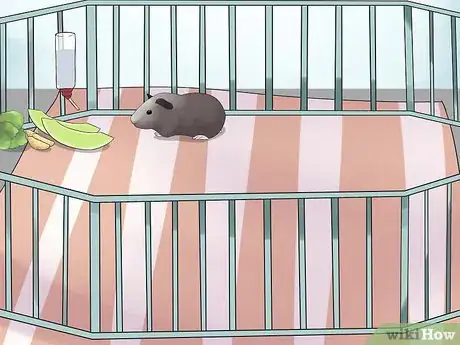 Imagen titulada Avoid Poisoning Your Guinea Pig Step 13