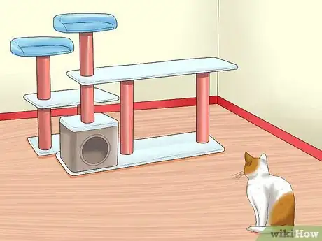Imagen titulada Care for Indoor Cats Step 1