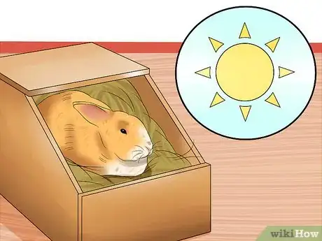 Imagen titulada Take Care of a Pregnant Rabbit Step 6