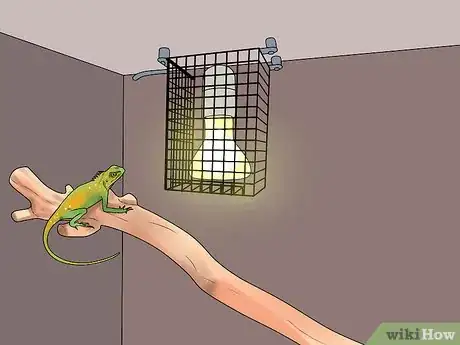 Imagen titulada Build a Reptile Cage Step 9