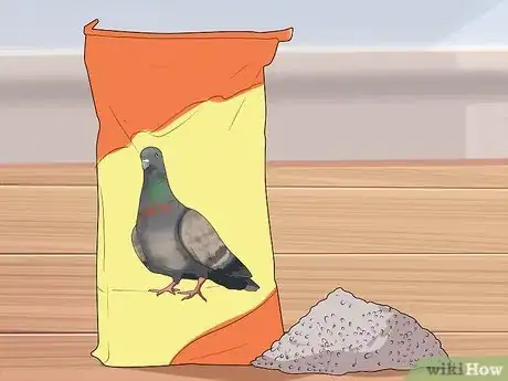 Imagen titulada Keep a Single Pigeon Step 3
