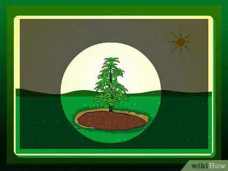 Imagen titulada Replant a Tree Step 18