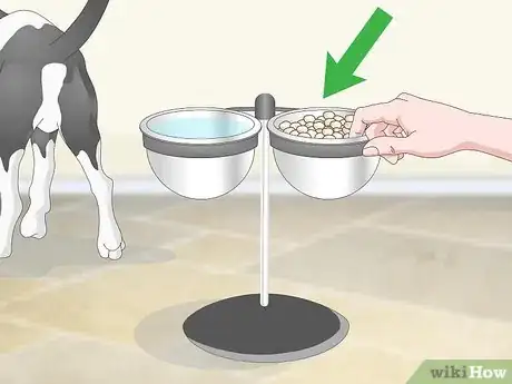 Imagen titulada Measure a Dog's Temperature Step 18